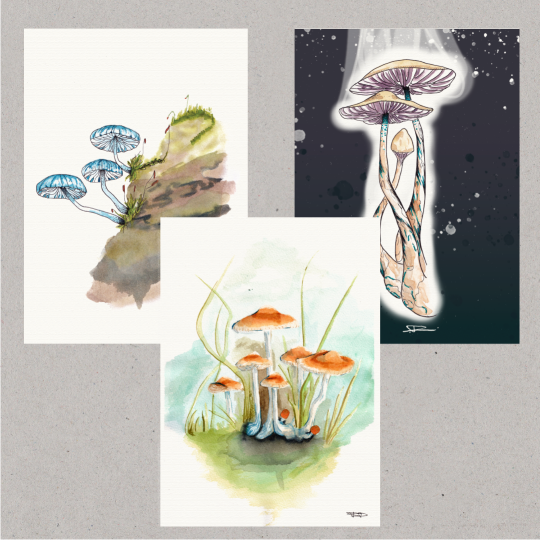 Fungi - Australian Native Watercolour Prints