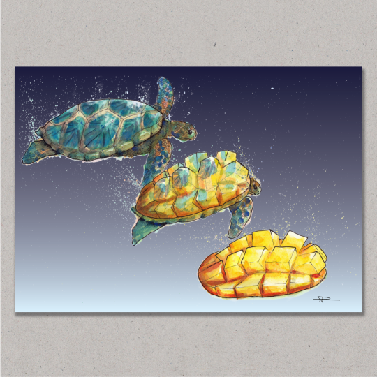 mongo turtle