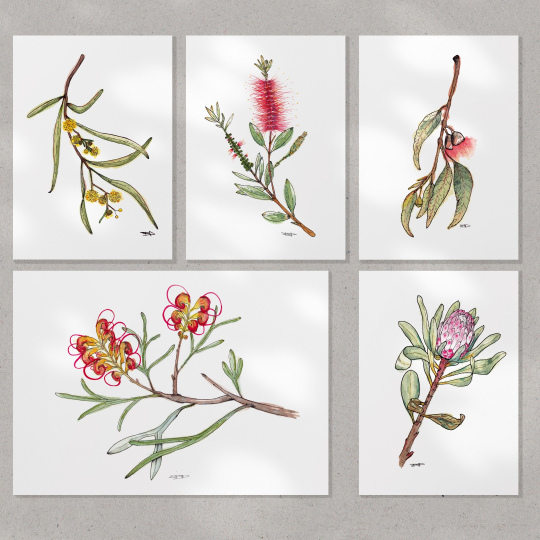 Flora - Australian Native Watercolour Prints